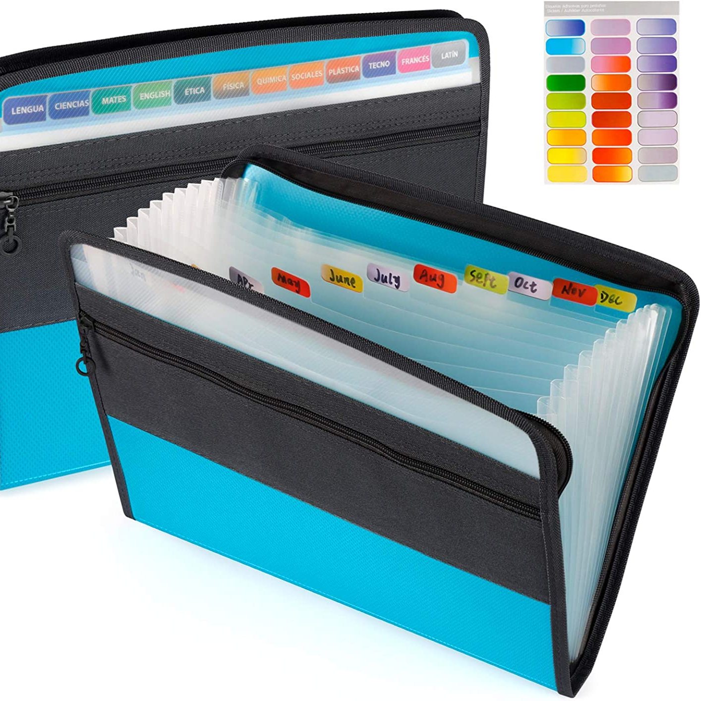 Hadanceo File Folder Multi-pages 13 Pockets Large Capacity  Horizontal/Vertical Expandable Examination Paper Document Accordion File  Organizer for School 