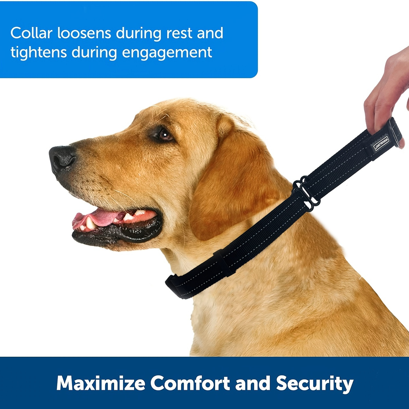 Cool Dog Collars - Temu