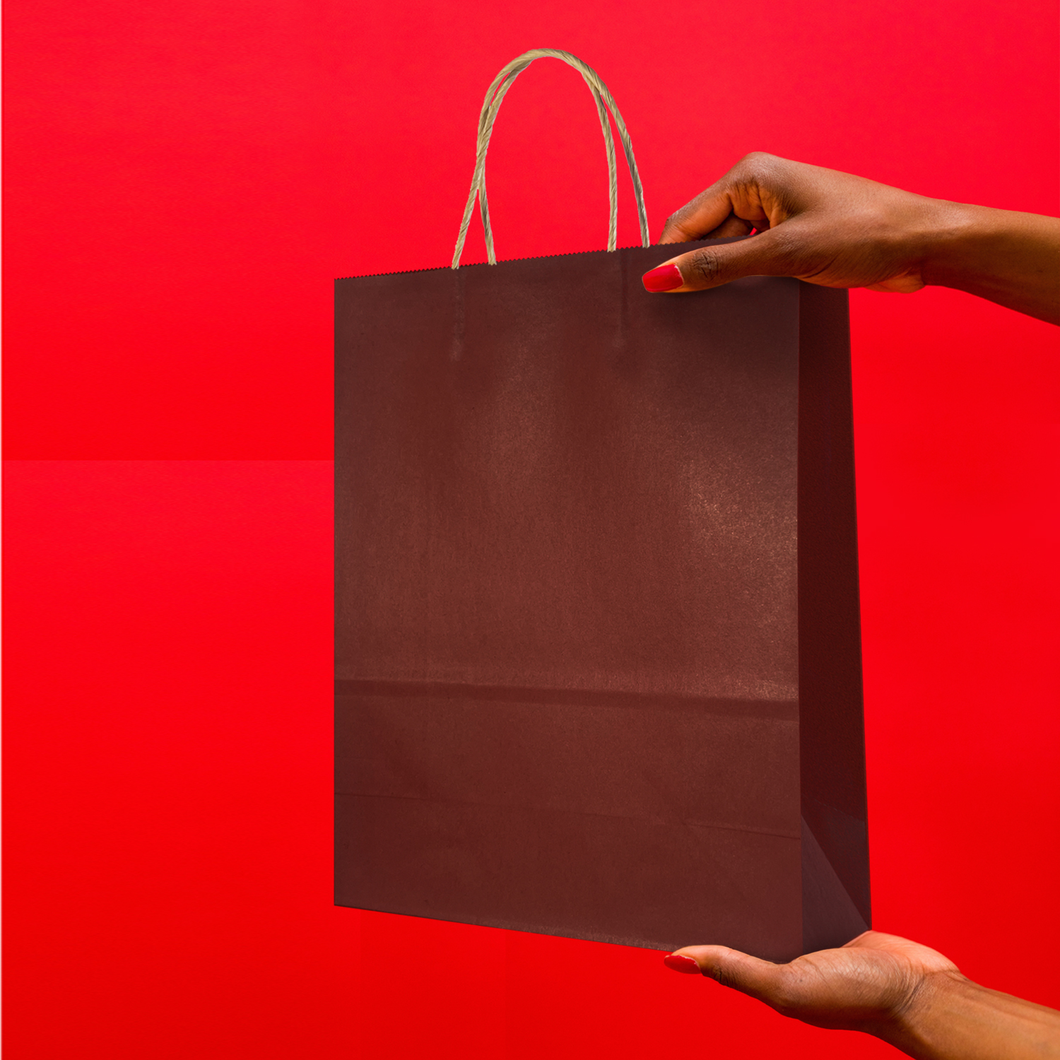 Kraft Paper Gift Bags With Handle Wholesale  Custom Bag  Kraft Packaging  Store