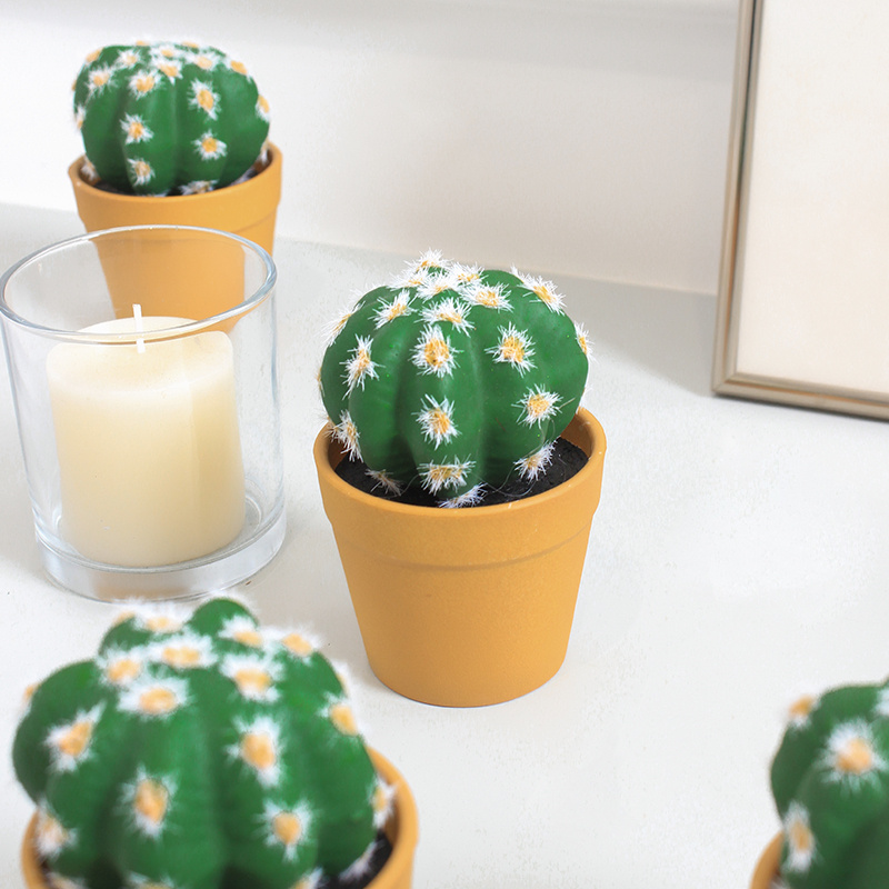 CACTUS SUCCULENTO ARTIFICIALE Piante Grasse In Vaso