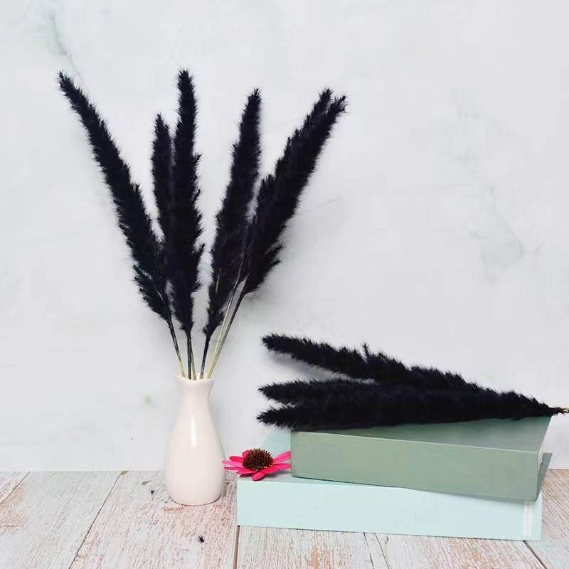 Black Pampas Grass Natural Dried Pampas Grass Fluffy Stem - Temu