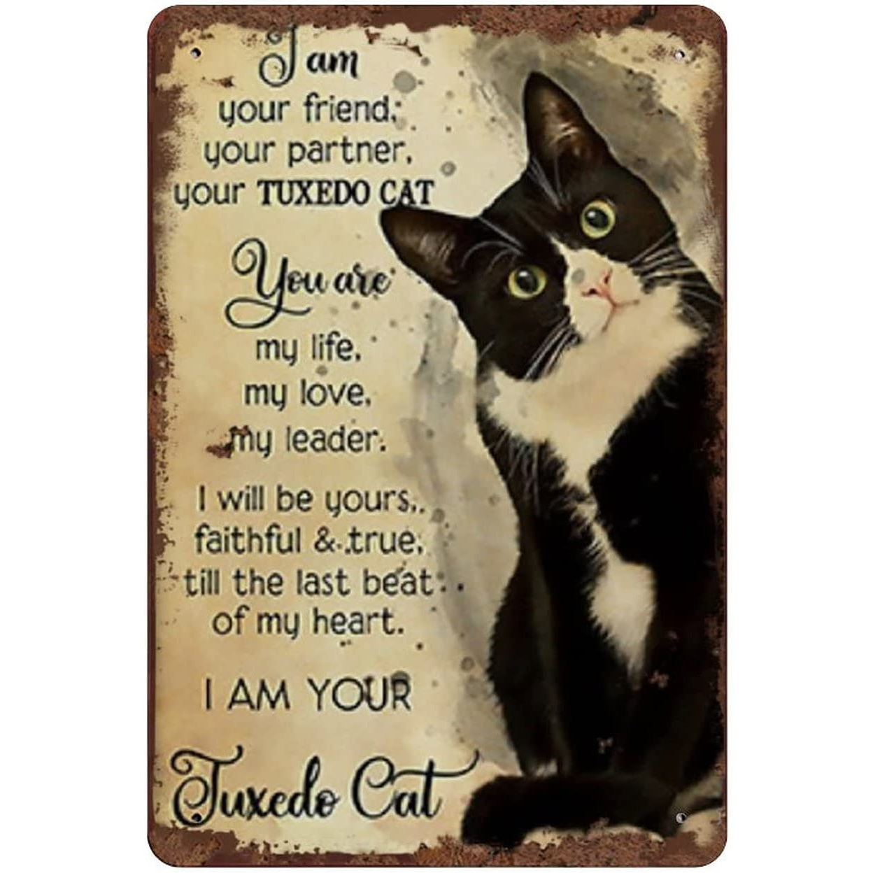 Tuxedo Cat Tin Sign Vintage Metal Wall Decoration Cat Lovers - Temu