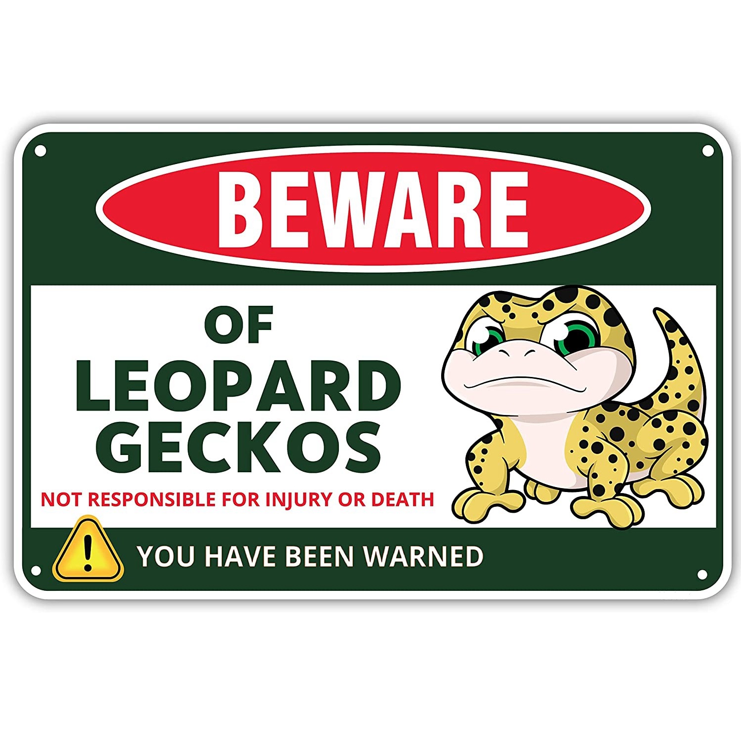 leopard gecko accessories