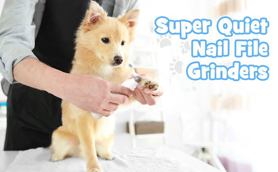 Pet Nail File Electric Claw Cat Dog Nail Trimmers 10h Grinding Time  Trimmers Dog Nail Grinders - China Dog Nail Clippers and Dog Nail Clipper  price | Made-in-China.com