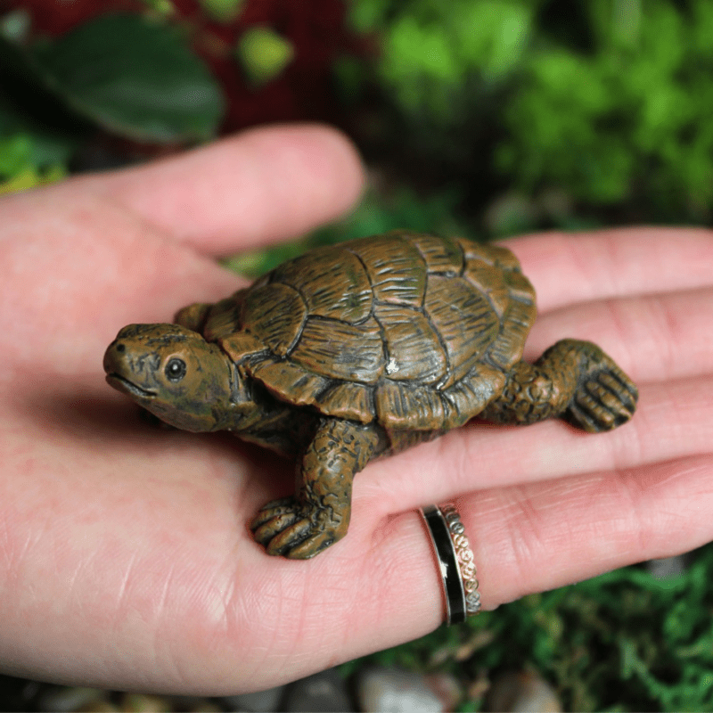 Mini Turtles, Resin Set of 3 