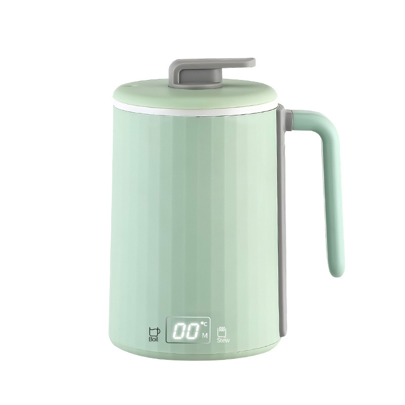 Cordless Electric Kettle Glass Boiler - Owner Review - HadinEEon