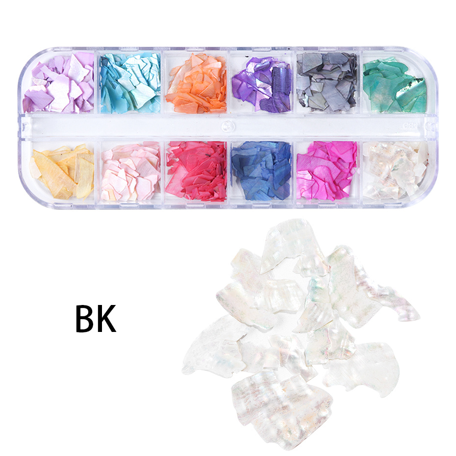 24 Grids Seashell Nail Art Nail Flakes, Wsimily Irregular Abalone Seashell  Slices for Nails Colorful Abalone Flakes Manicure Mermaid Slices UV Gel Flake  Nail Decorations for Nail Art