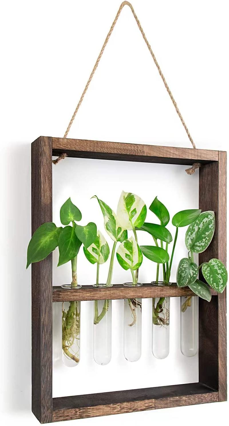 Wall Mounted Hanging Decorative Planter Test Tube Flower Bud Vase for  Indoor Propagating Hydroponic Plants - China Wall Mounted Hanging Planter  Test Tube Vase, Planter Test Tube Flower Bud Vase for Plants