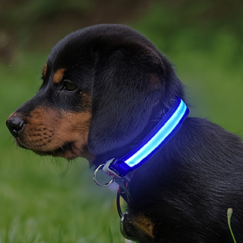 Adjustable Luminous Collar for Night Walking - Enhance Your Pet's Safety and Visibility at Night