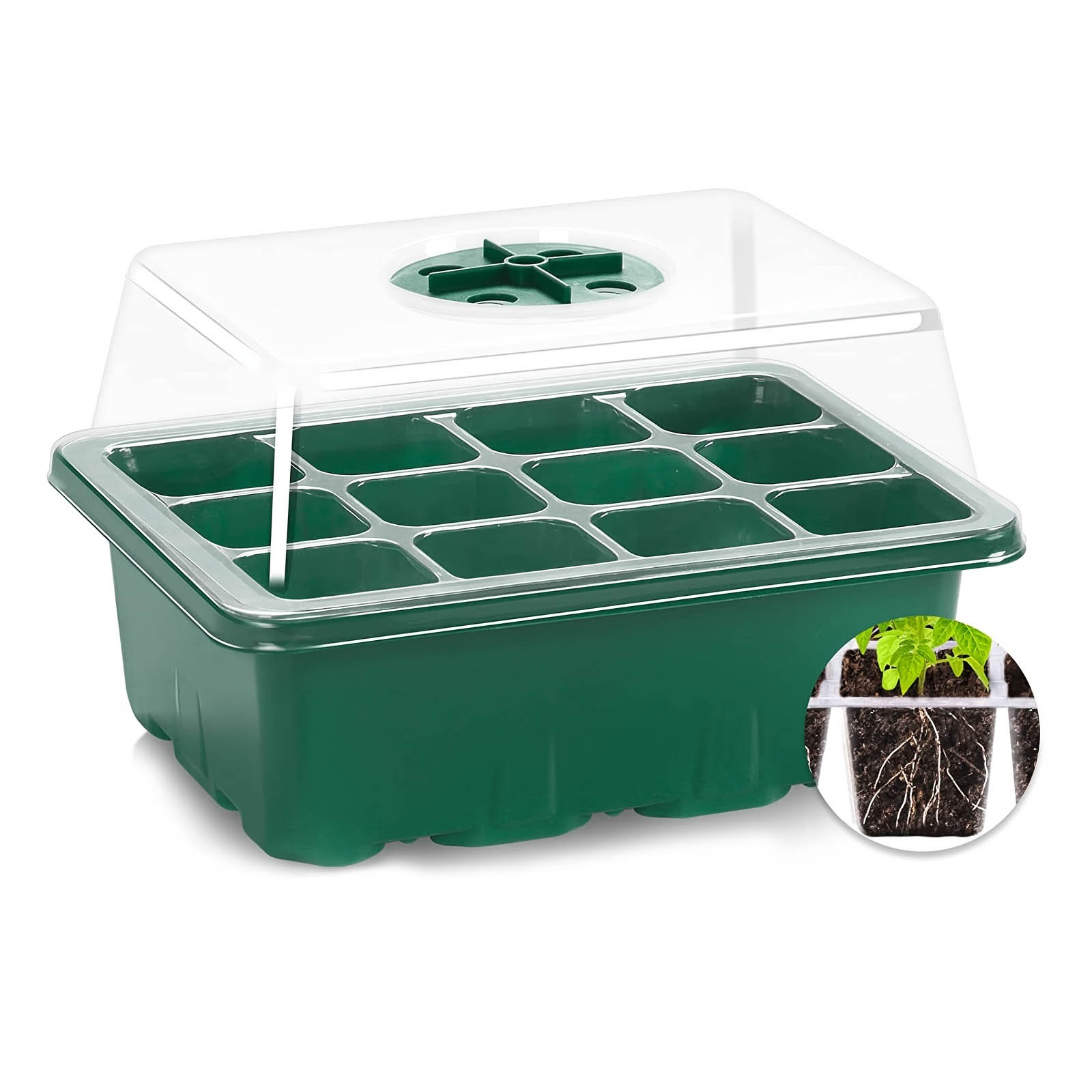 4pk Small Storage Trays Daydream Green - Brightroom™