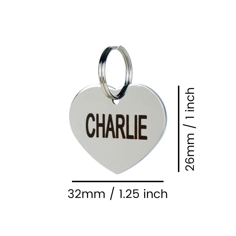 Slide-On Personalized Stainless Steel Pet ID Tag
