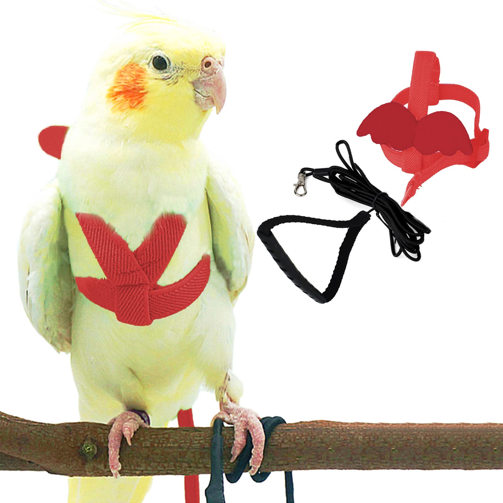 Pet Parrot Bird Harness Adjustable Training Leash Design - Temu