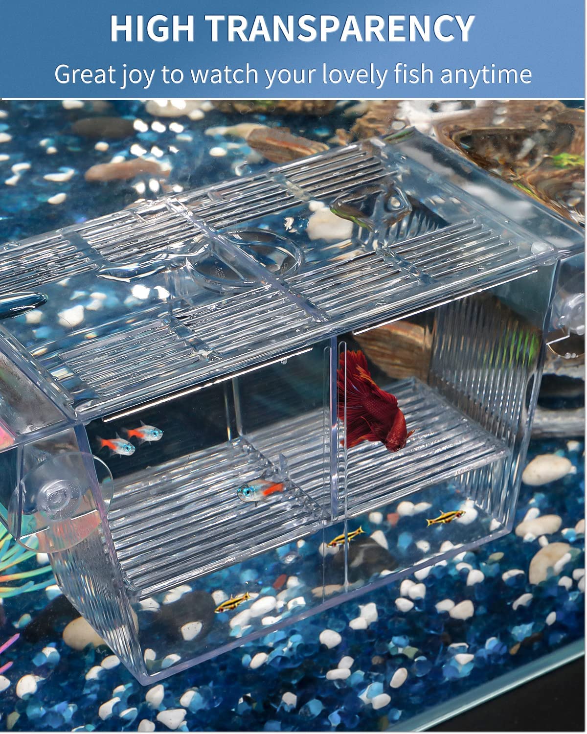 Breed Baby Fish Shrimp Safely Acrylic Isolation Box Comes - Temu