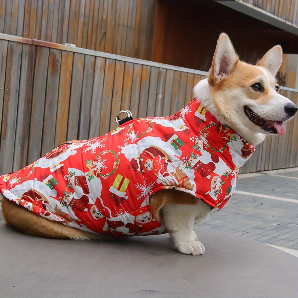 corgi christmas suit jacket