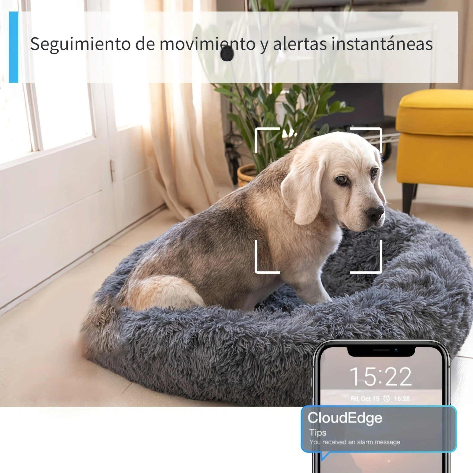 2 Cámaras Seguridad Ulofy 2k/3mp Pan Tilt Wifi Cámara Perro - Temu