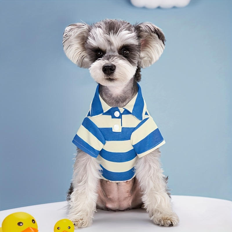 Boy top puppy outfits