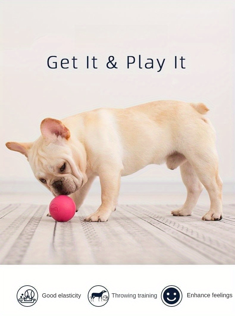 Dog Toys for Aggressive Chewers Rubber Interactive Puppy Ball