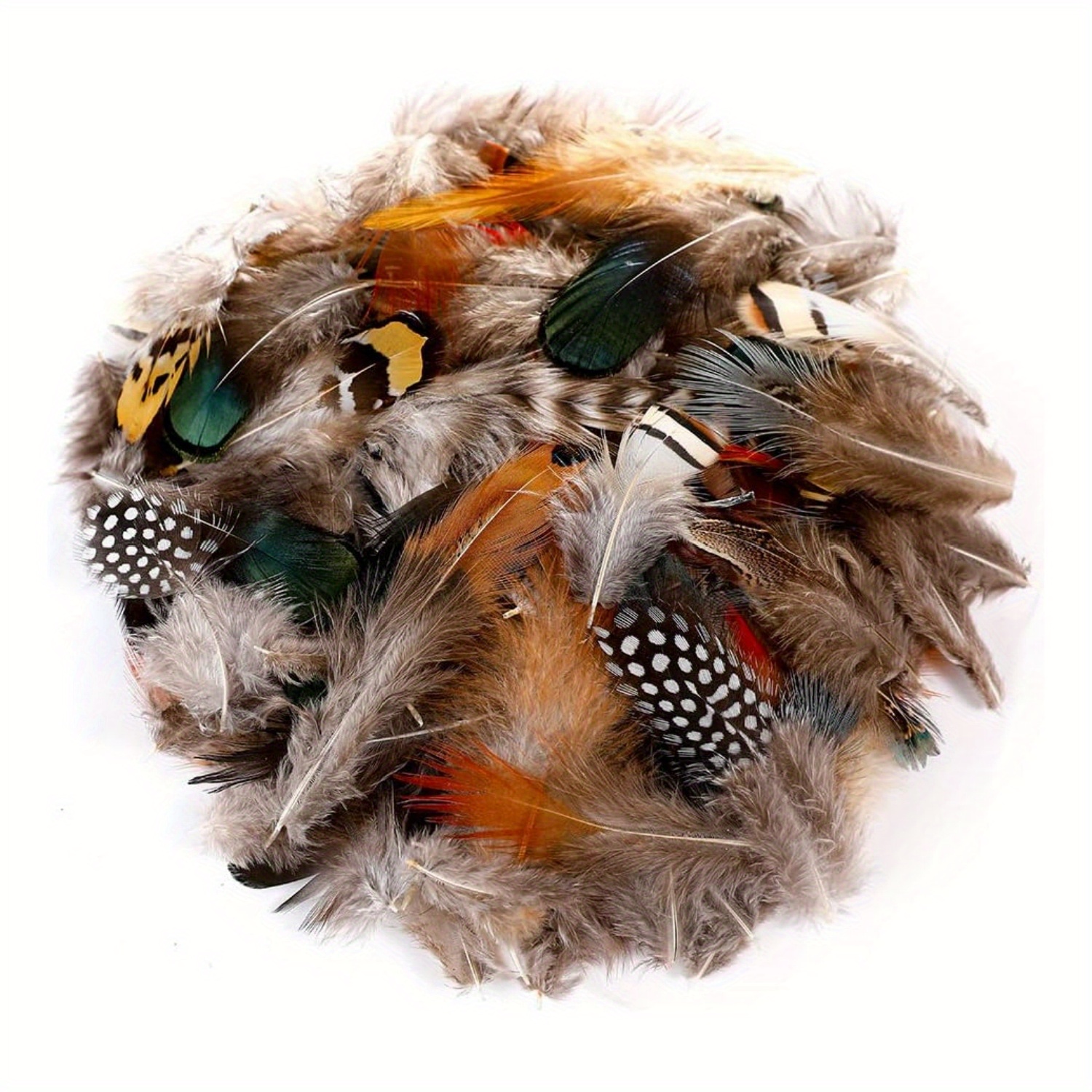 Natural Pheasant Craft Feathers - 240 Pcs 6 Style Mixed Feathers for Dream Catch