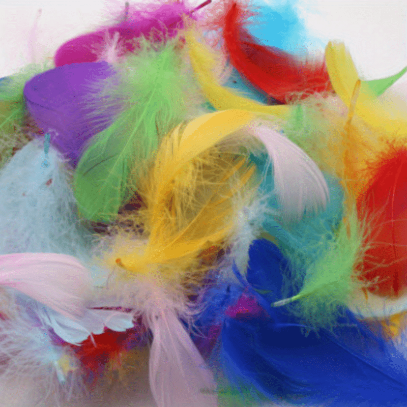 Craft Feathers, Feathers for Crafts