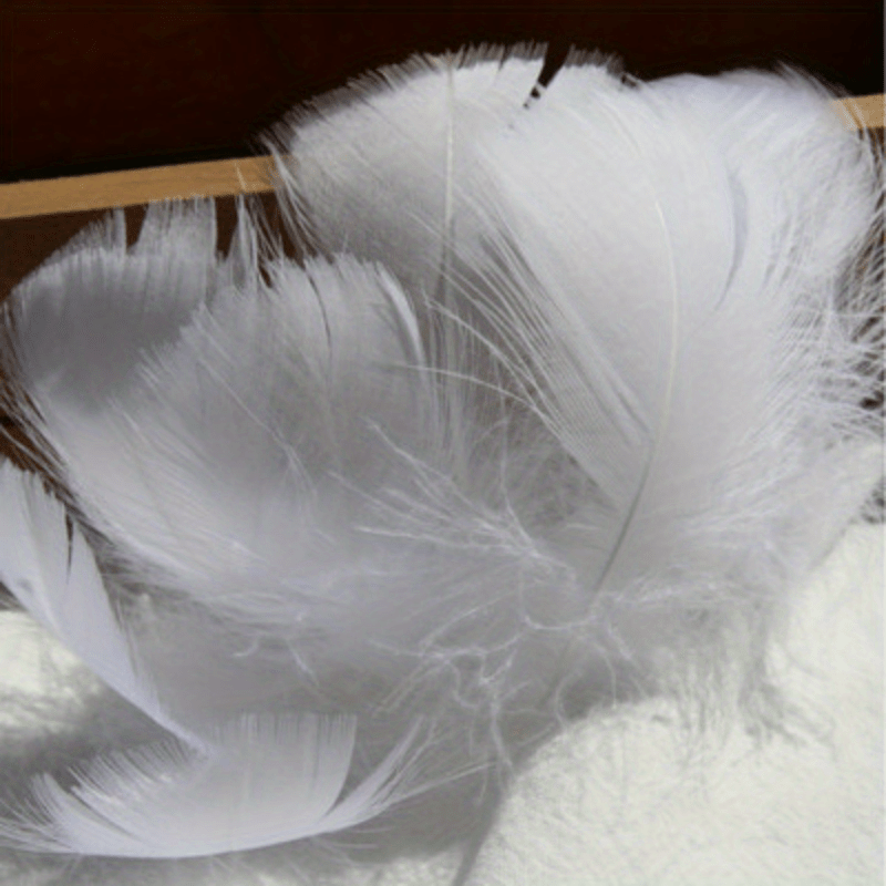 Feathers Crafts White Small, White Goose Feathers Plume