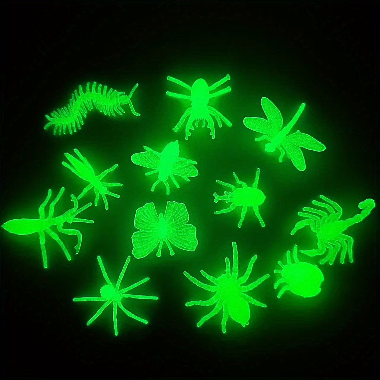 Des insectes lumineux