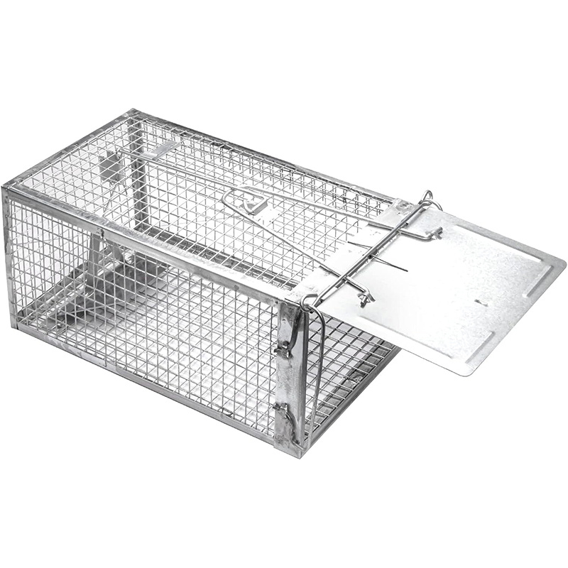Humane Rat Traps Outdoor and Indoor, Single Door Cage Rodent Trap, Live  Traps for Chipmunks, Catch and Release, Chipmunk Traps That Work for Rats