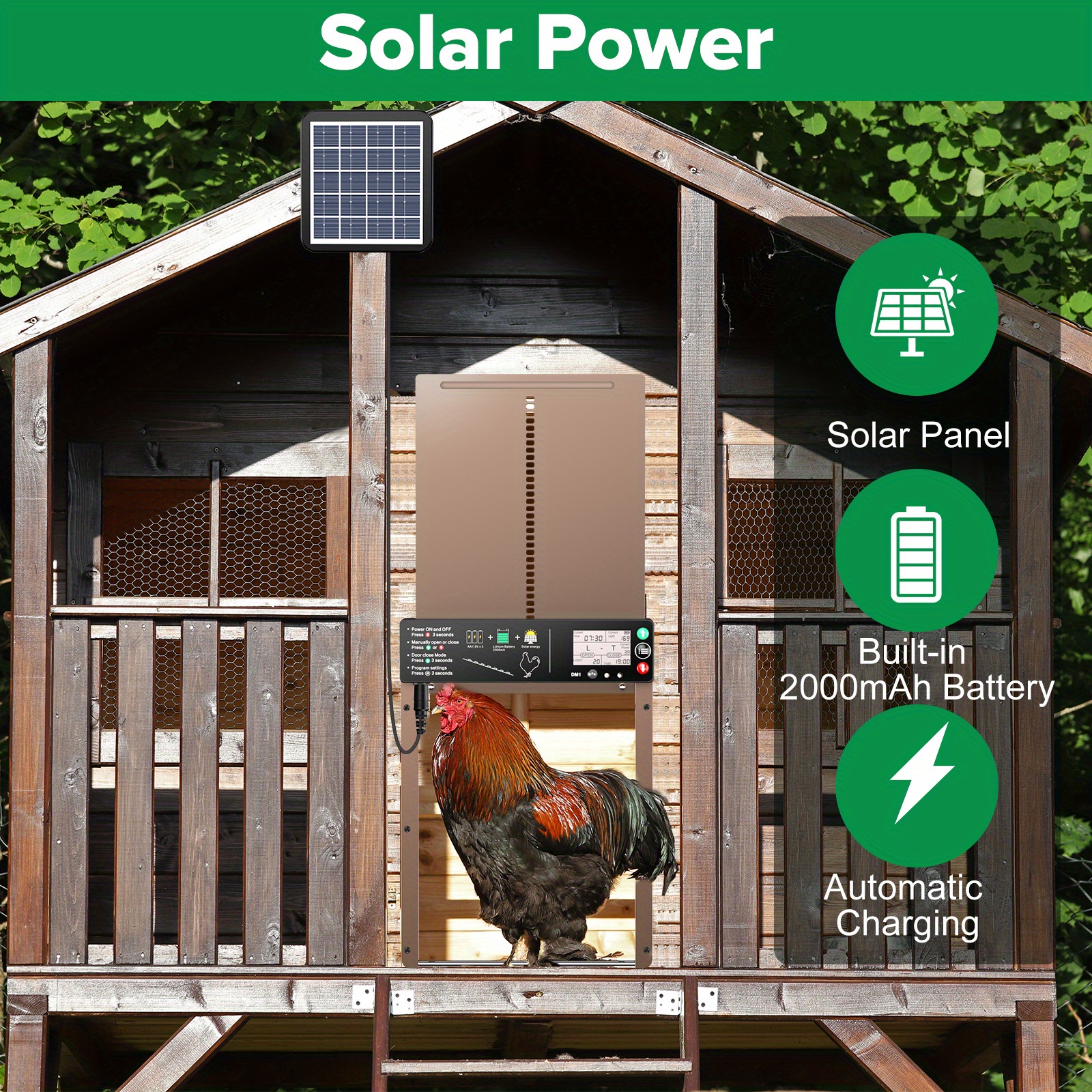 Puerta automática de gallinero alimentada por energía solar con  temporizador, puertas solares de aluminio resistentes a la intemperie,  eléctricas