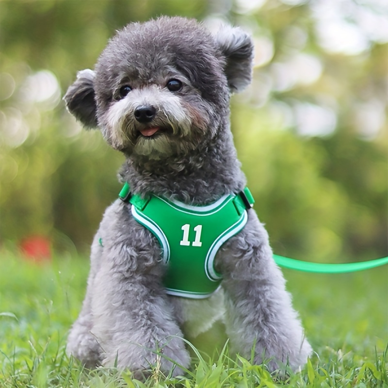 Zunea Denim Dog Dresses for Small Dogs Girls Summer Puppy Harness