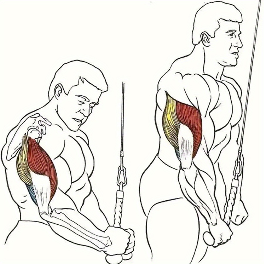 Cuerda de tríceps extraíble, kit de tríceps resistente fácil de agarrar y  accesorio de cable antideslizante, ideal para el gimnasio en casa, sistema