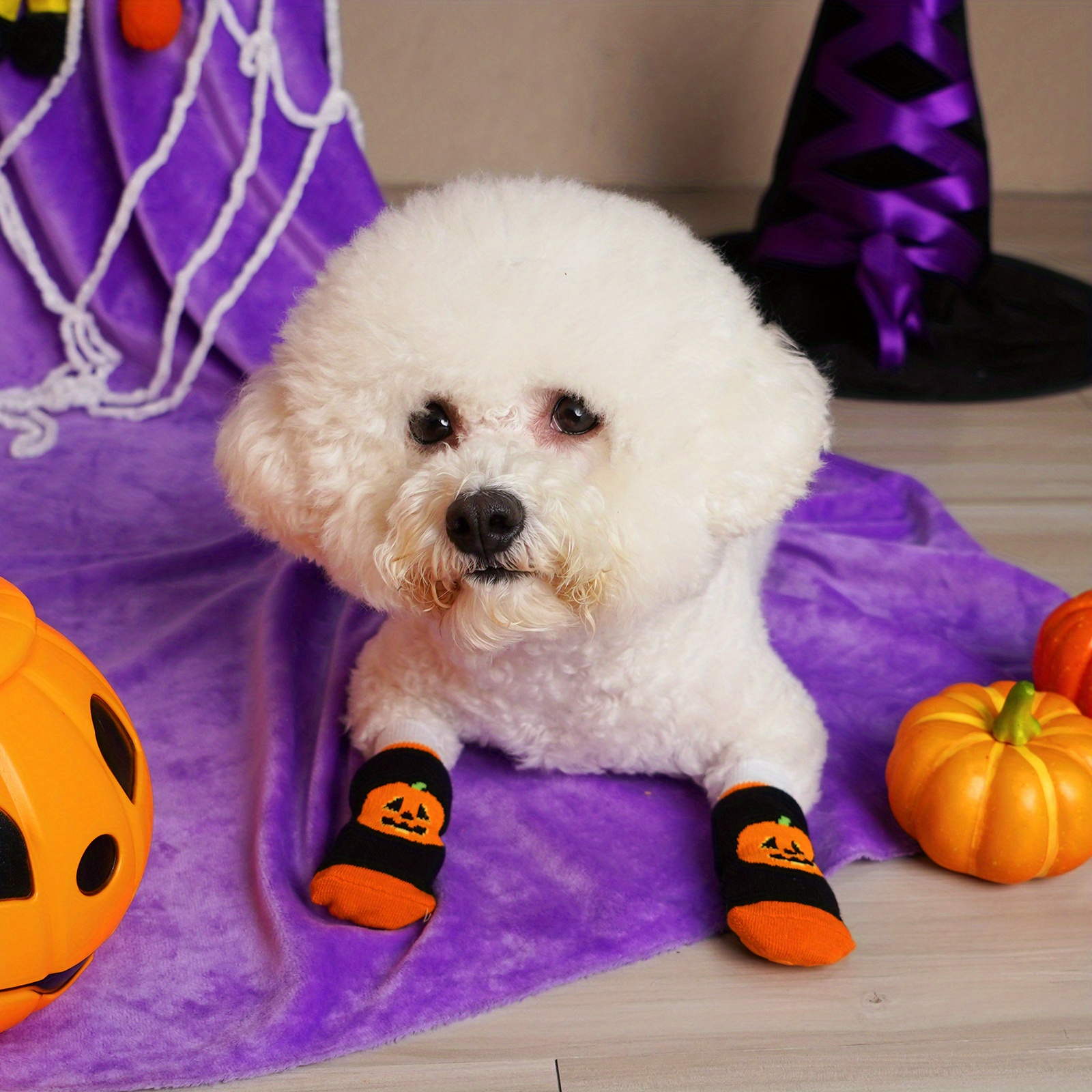 Dog halloween cheap socks