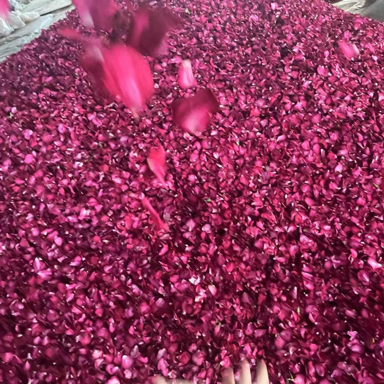 Rose Petals 50g