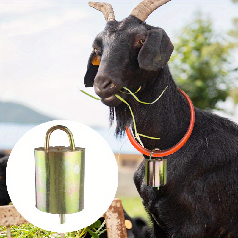 Grazing Copper Bells Metal Cow Bells For Dogs Animal - Temu