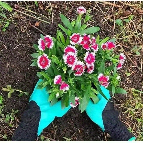 FONIRRA Guantes de jardín con garras, 2 pares para excavar malas hierbas,  tirar de garras de jardín, guantes de trabajo protectores para exteriores