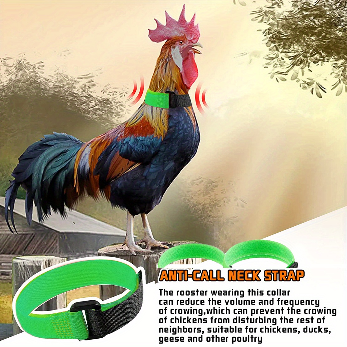 Green Nylon Chicken Neck Bel Pet Collar New Chicken's Temu