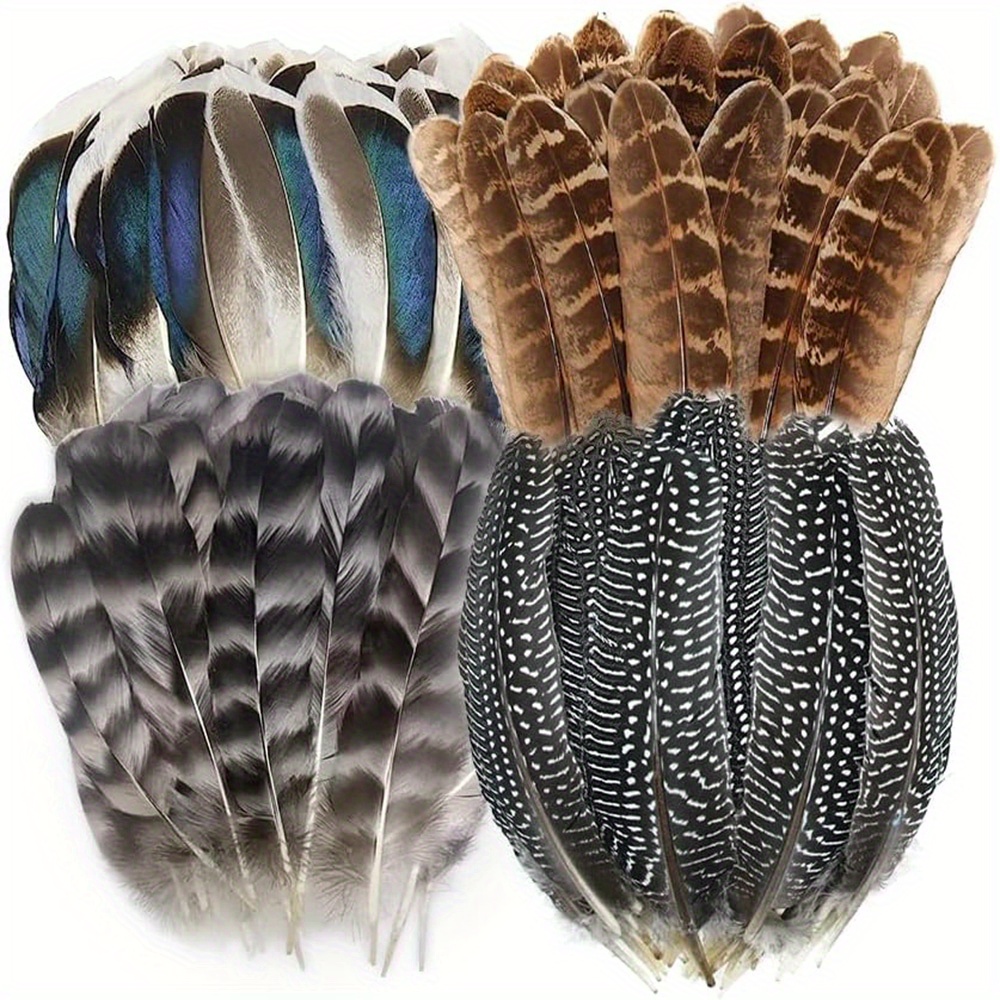 Feathers for DIY Crafting turkey feather Feathers Craft 200pcs