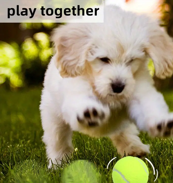 1/3 個テニスボール犬噛むゴムおもちゃ、犬のためのインタラクティブ弾性ボールおもちゃインタラクティブトレーニング用品 - ペット用品 - Temu  Japan