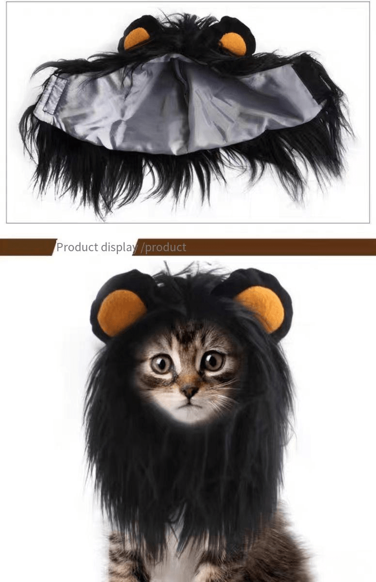 Fantasia De Halloween Para Gato, Incluindo Cabeçada De Leão, Peruca E  Chapéu. Perfeito Para Sessões Fotográficas E Presentes Para Gatos. - Pet  Supplies - Temu