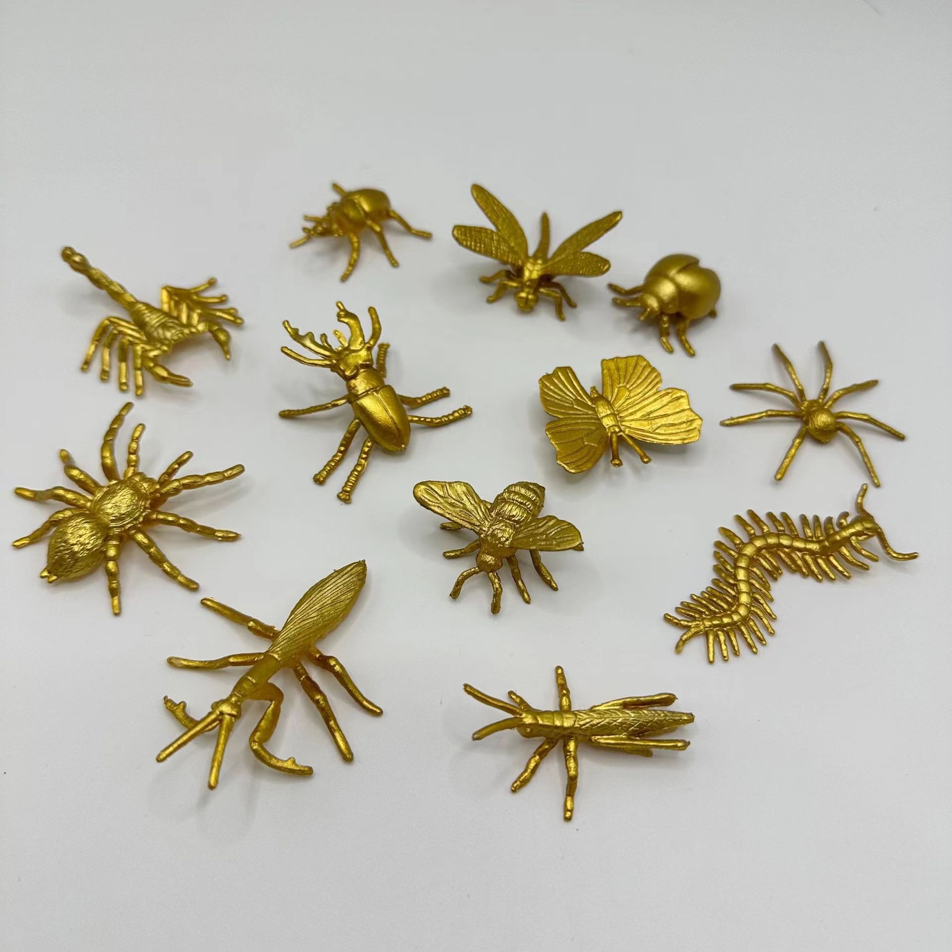 Insetto Resina Animale Esemplare Ragno Vario Granchio Scorpione Scarabeo  Collezione Scienza Bambini Sorpresa Regalo Ambra Decorazione Domestica