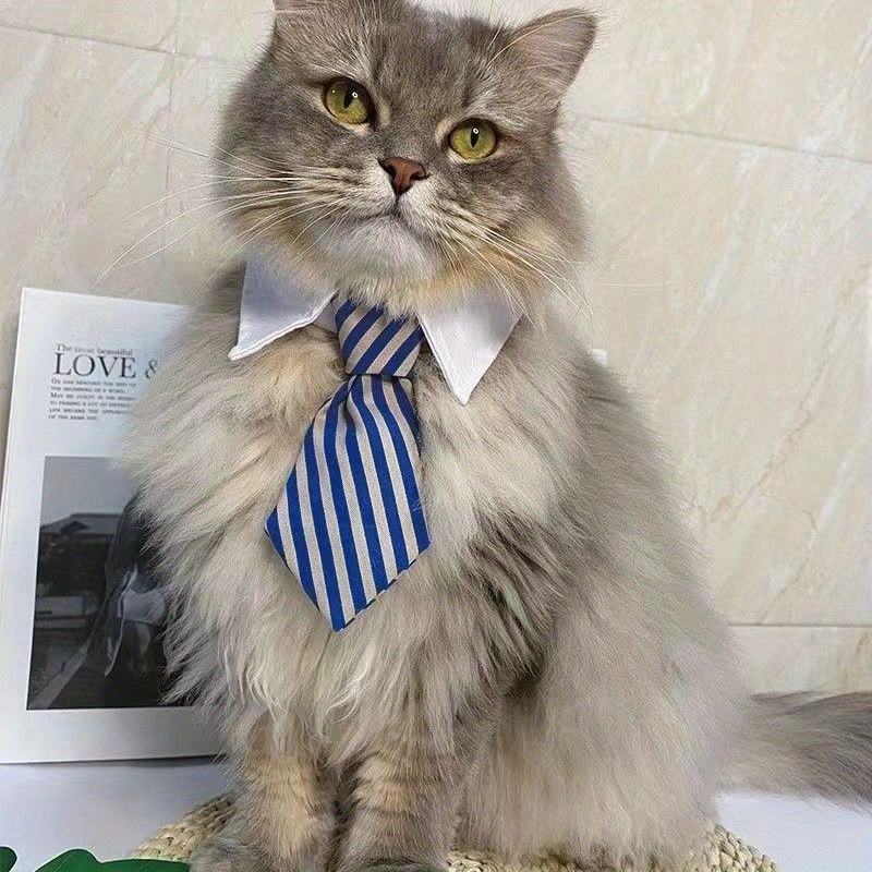 Neck tie for deals cat