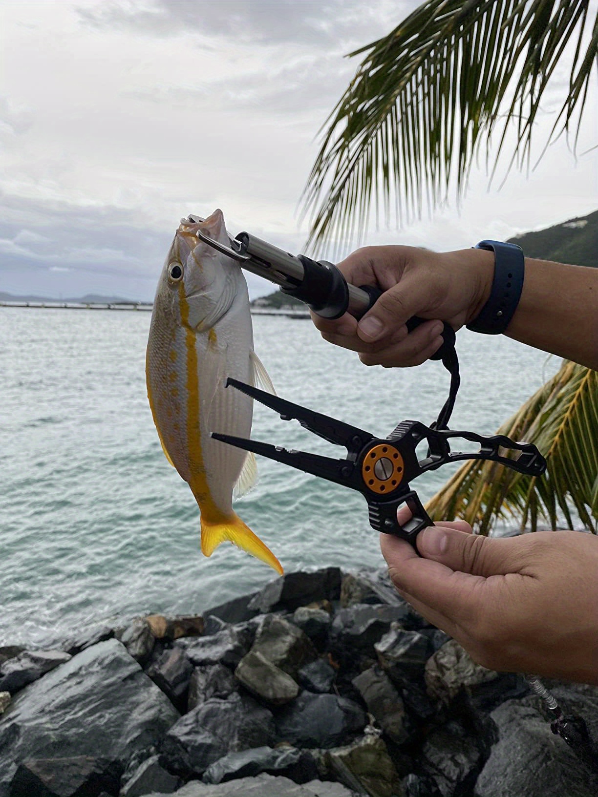 1 Set Aluminum Alloy Fishing Tools, Including Multifunctional Fishing  Pliers + Fish Lip Clamp, Hook Line Removel Tool, Fishing Supplies