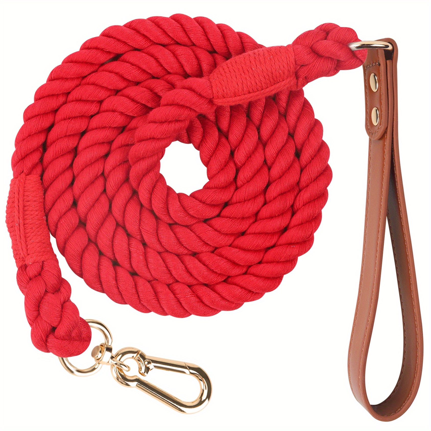 Handmade Leather Dog Leash with Braided Ends