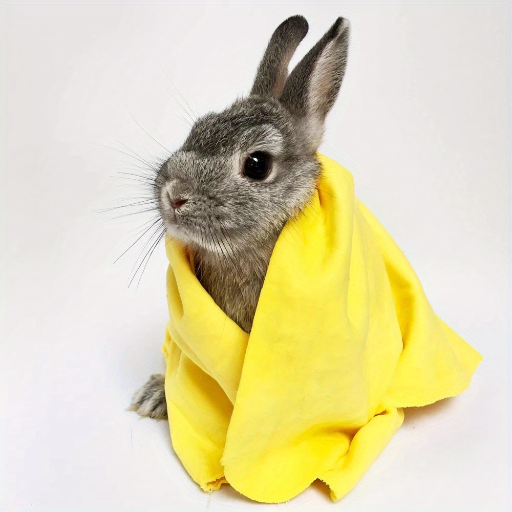 Toddmomy Haustier-Wärmekissen - 4er Set Kuschelige Fleece-Matten