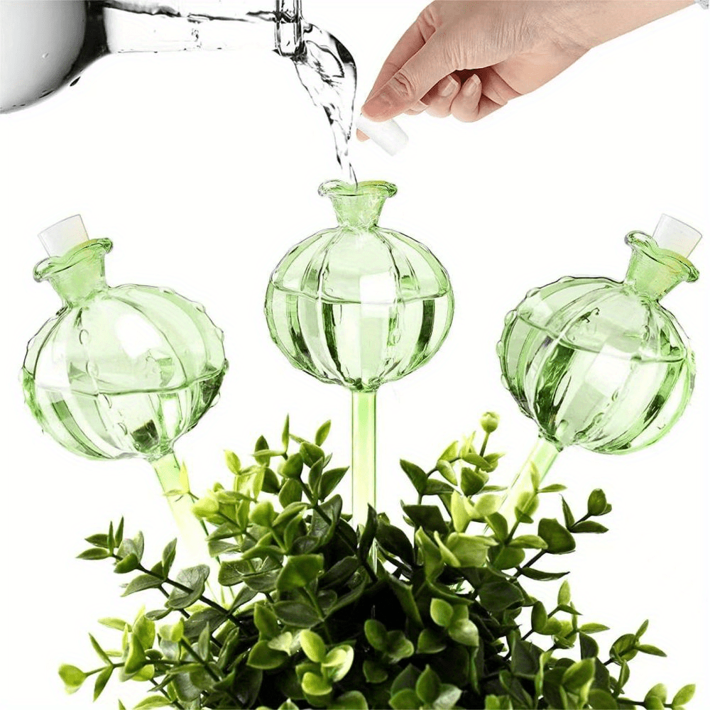 2 3pcs Plant Watering Globes Cactus Self Watering Planter Insert Glass