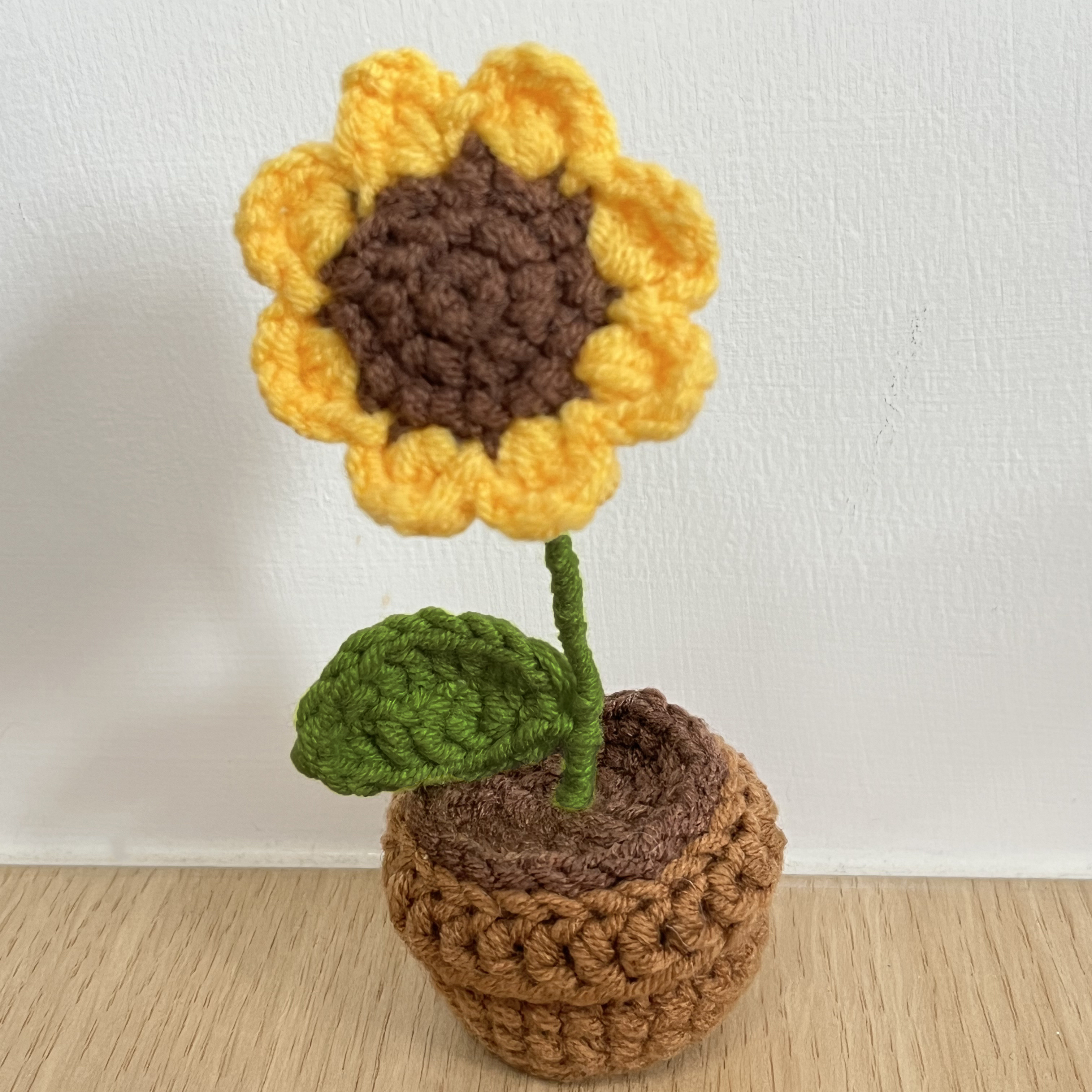 New Crochet Kit for Beginners, 6 Pcs Potted Flowers Crochet Kit, Crochet  Starter Knitting Kit for Complete Beginners with Step-by-Step Instructions
