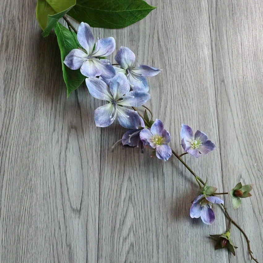 purple jasmine plant