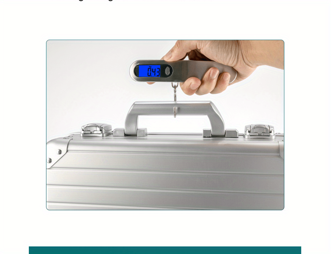 Handheld Suitcase Scale - Temu