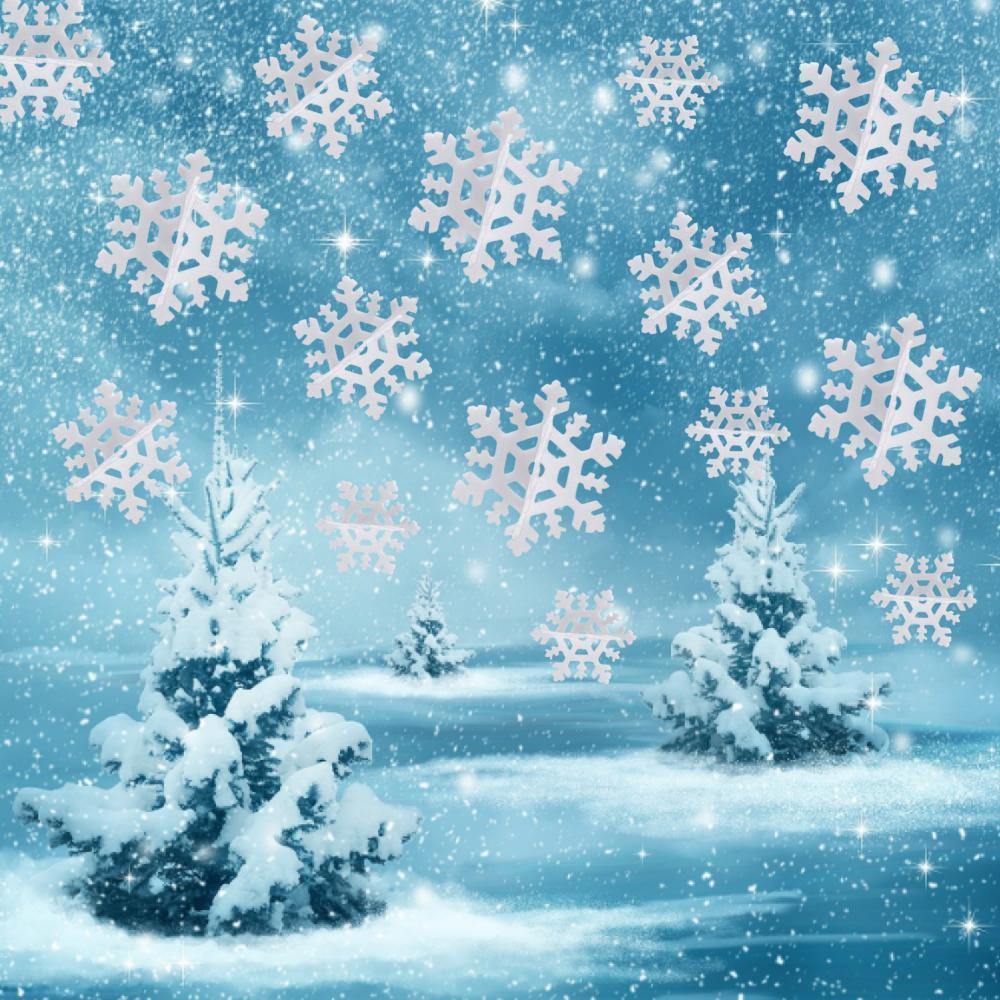 Silver Snowflake Snow Party Decorations Frozen Paper - Temu