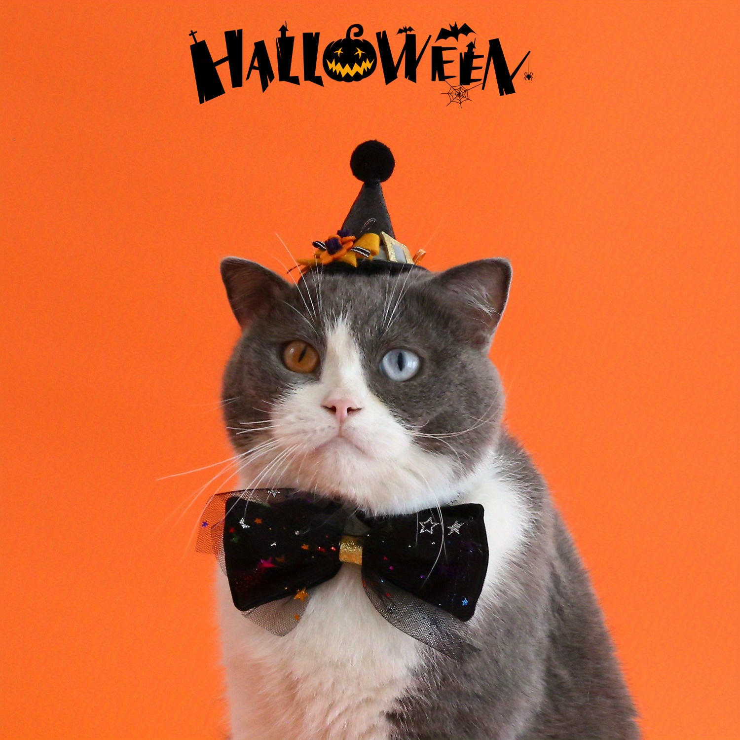 Halloween Haustier Dekoration Set, Kürbis Samt Fliege Kragen Und Pailletten  Hut, Katze Dress Up Kopfschmuck Für Kleine Hunde Und Katzen