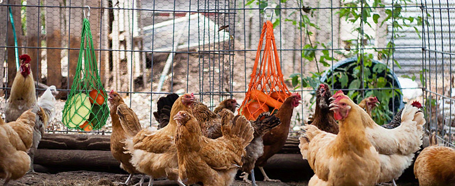 5er Set Hühner-Futternetz Zum Aufhängen – Bunte Beschäftigungsnetze Für Hühner, Stabil Und Vielseitig