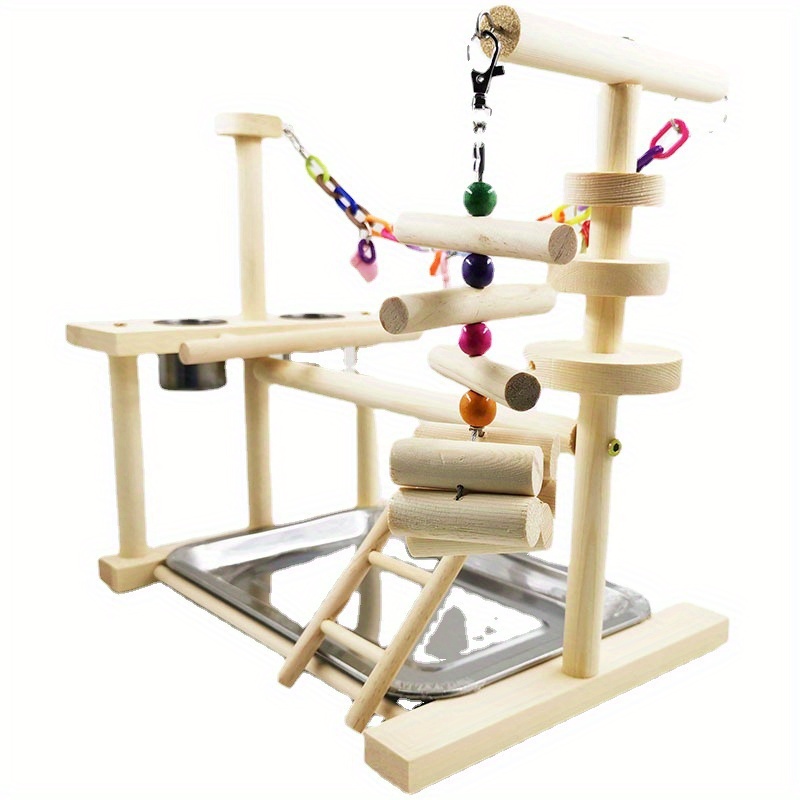 Parrot play outlet gym